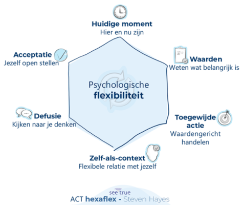 sensus-petra-van-zon-panningen-mindfulness-coaching-training-psychosociaal-therapeut-limburg